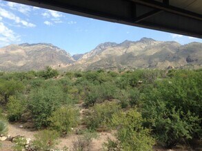 Building Photo - 5800 N Kolb Rd