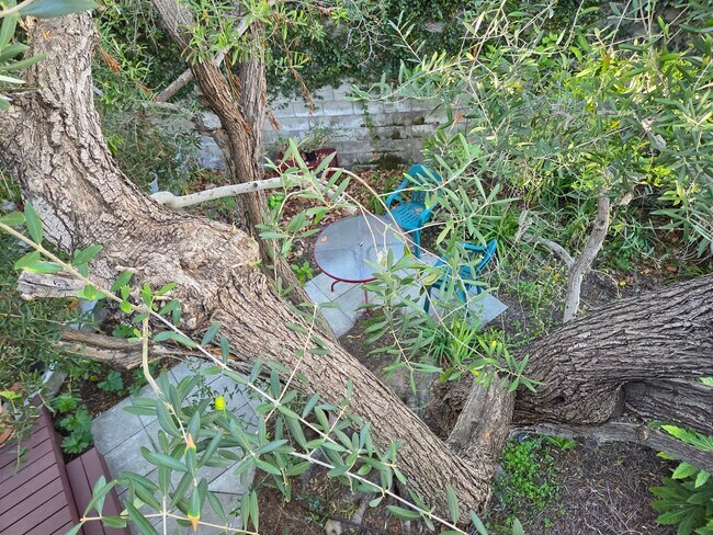 View from deck - 2417 4th St