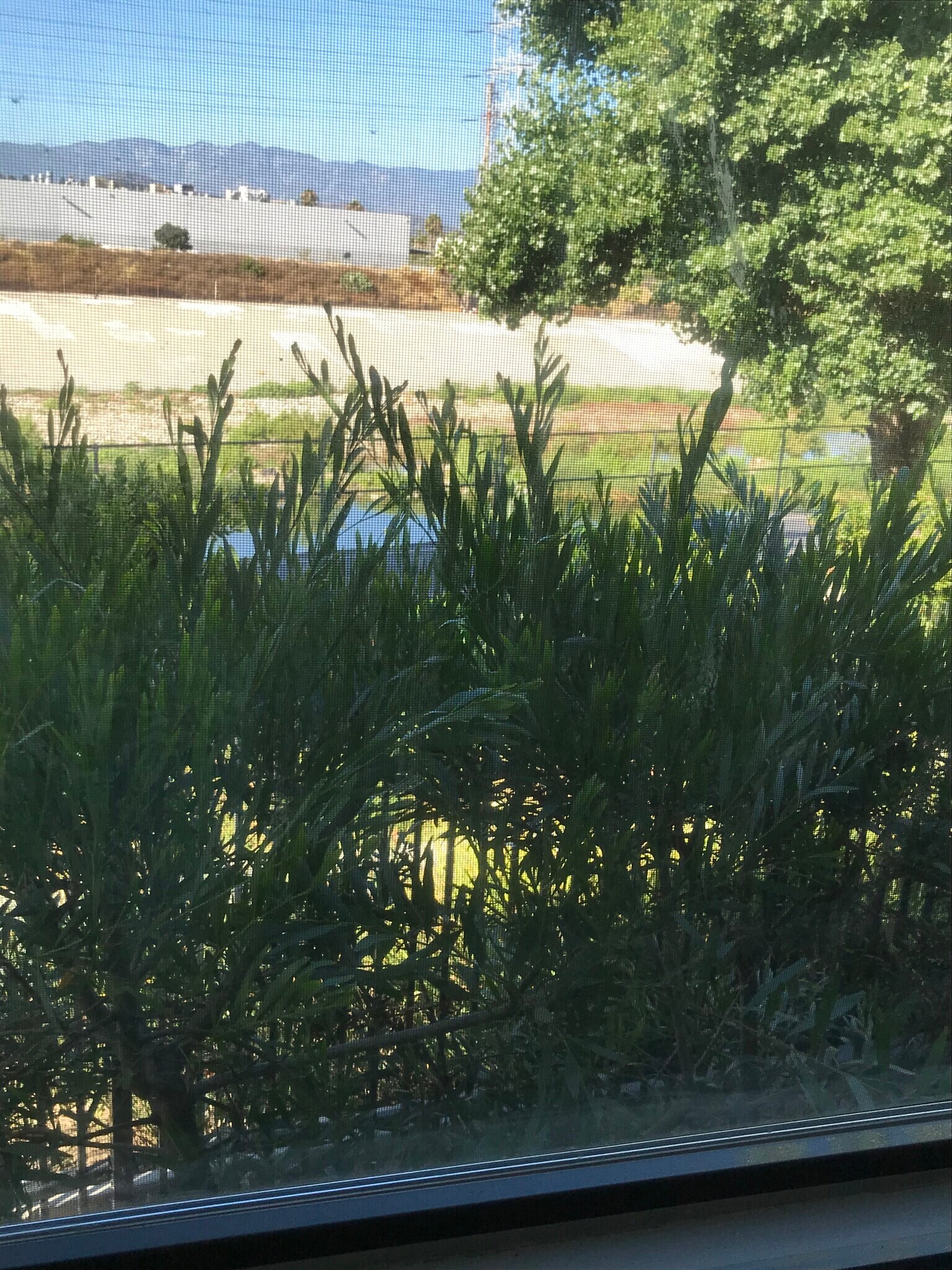 View of LA River - 2978 Ripple Pl