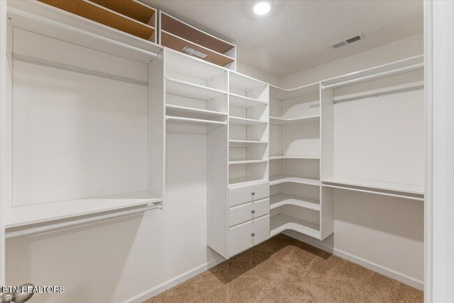 Building Photo - 1013 Curly Top Ln