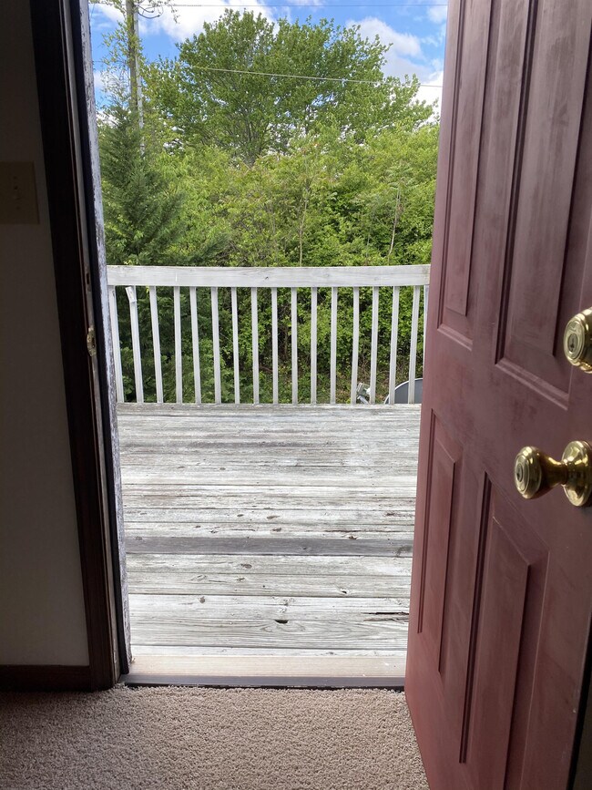 Building Photo - 1141 Homestead Garden Ct