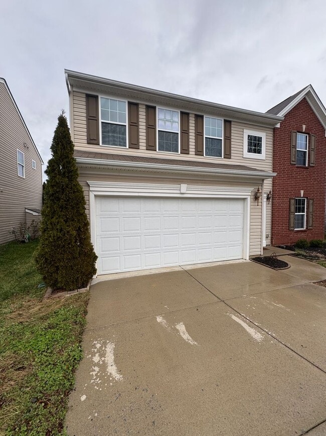 Building Photo - 4 bedroom 2.5 bathroom in Bellevue's Avondale Park neighborhood.  All bedrooms upstairs, open con...