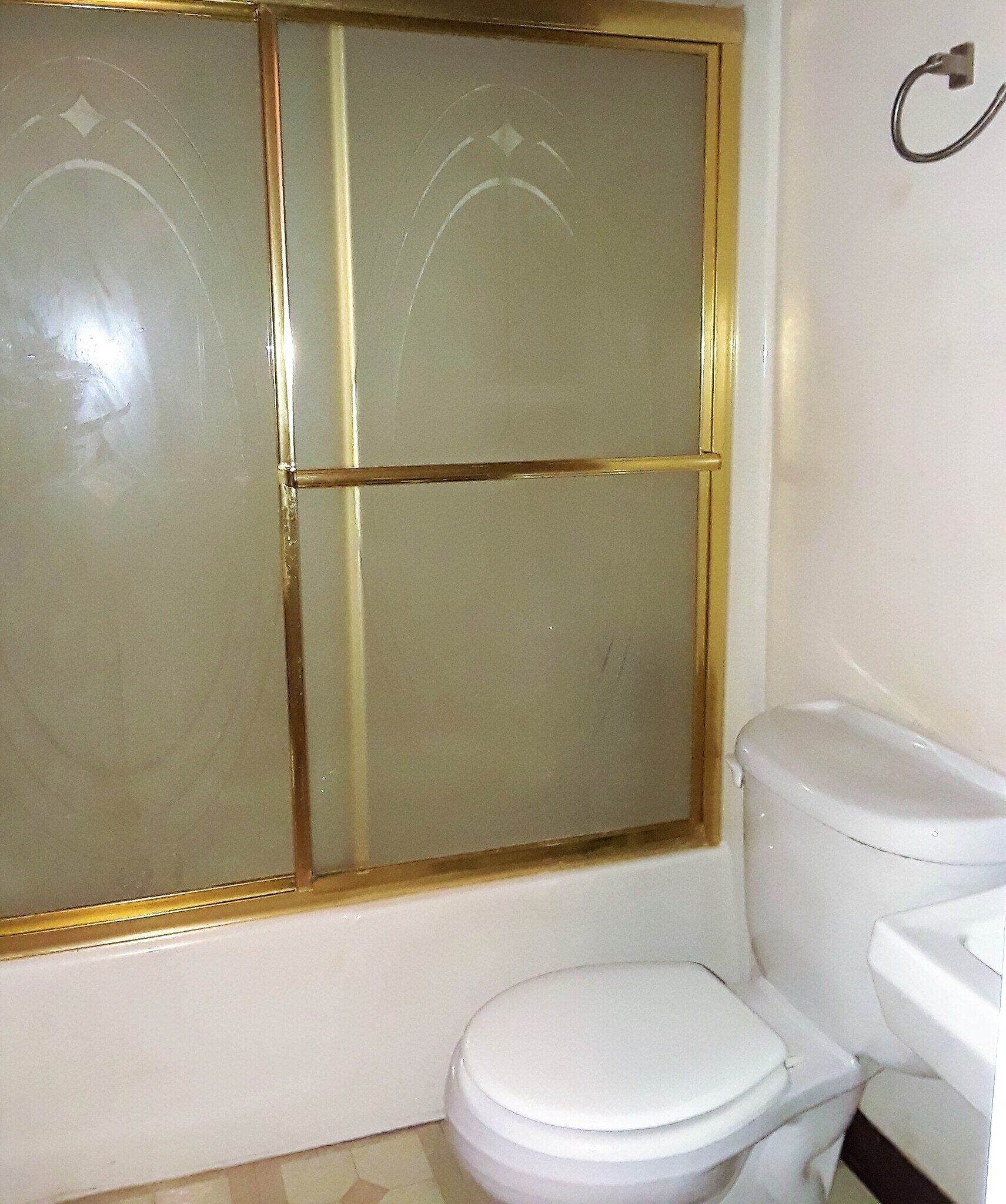 Tub/shower combination - 416 Brierly Ln