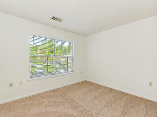 Building Photo - Updated 3 BR unit in the heart of South Park