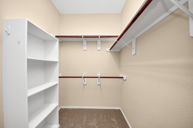 Building Photo - 6003 Baileys Run Ln