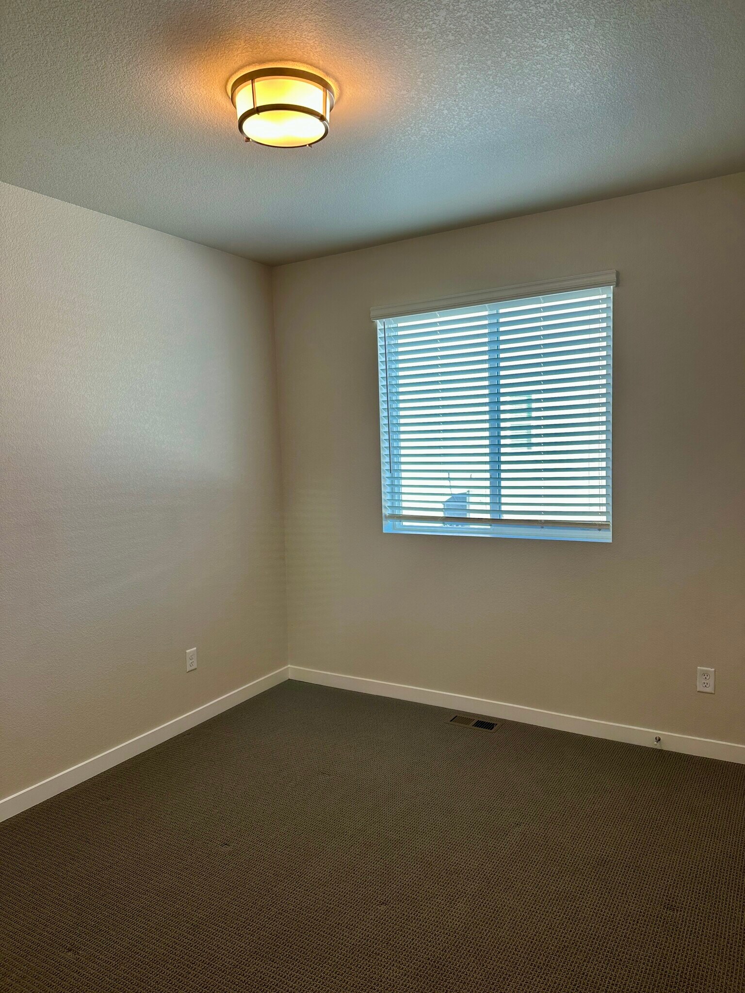 Bedroom 1 - 13653 Frost Bitten Grv