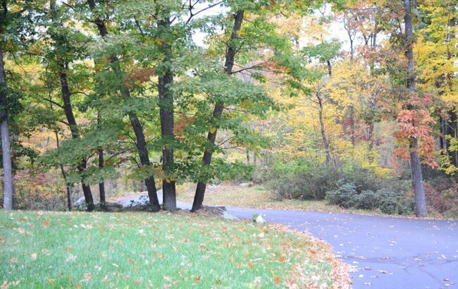 Building Photo - 9 Mountain Laurel Ln
