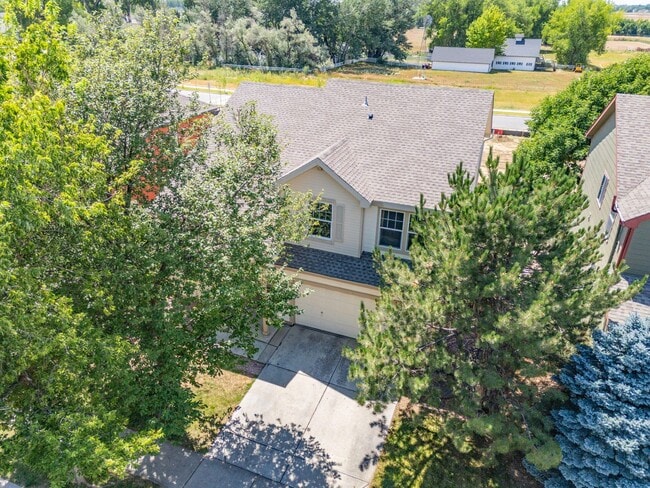 Building Photo - 2021 Falcon Ridge Dr