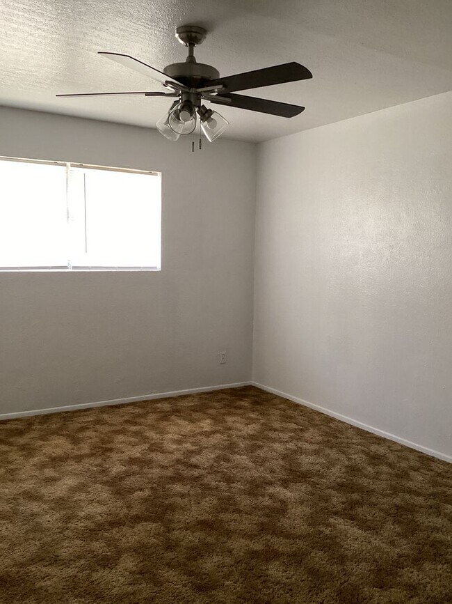 Building Photo - Newly Renovated 3 Bed House!