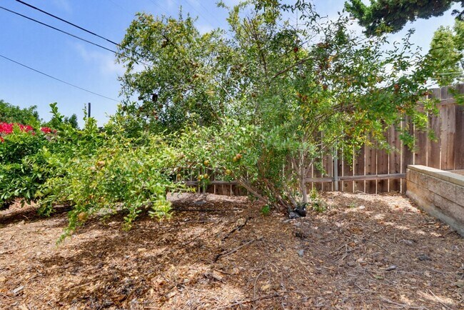 Building Photo - Beautifully Maintained Home in La Mesa — 3 Bed / 2 Bath | 1,600 Sq Ft
