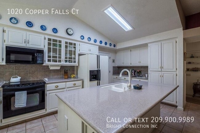 Building Photo - 1020 Copper Falls Ct