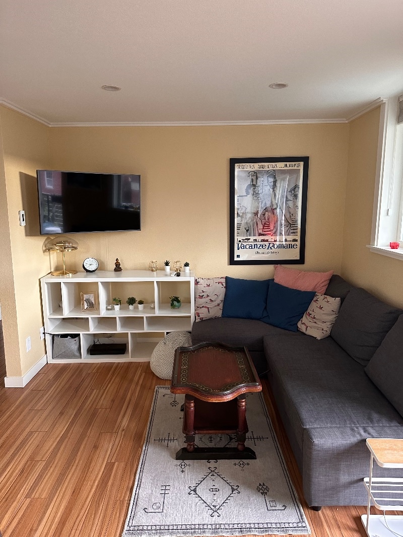 Living room (TV swivels out to face couch) - 626 4th Ave W