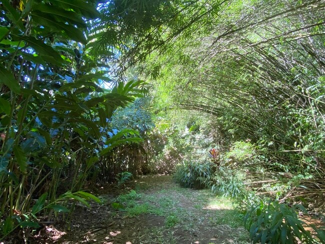 Building Photo - 630 E Kuiaha Rd