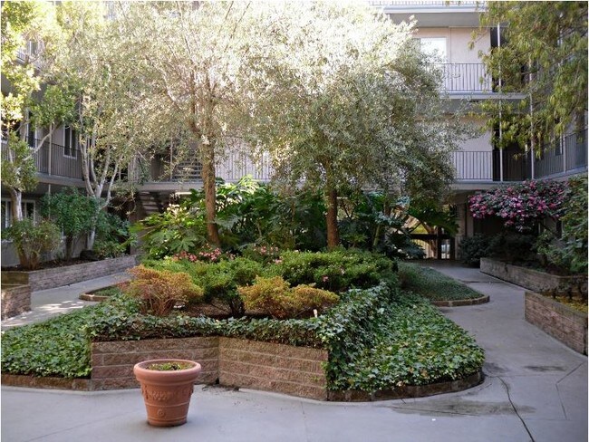 Courtyard is professionally maintained - 184 Callan Ave