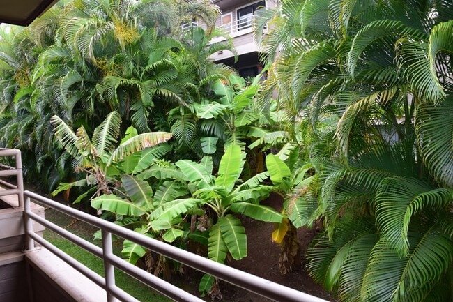Building Photo - Kihei Shores F208 2 bd. 2 ba. furnished unit. Available June 15th or July 1st