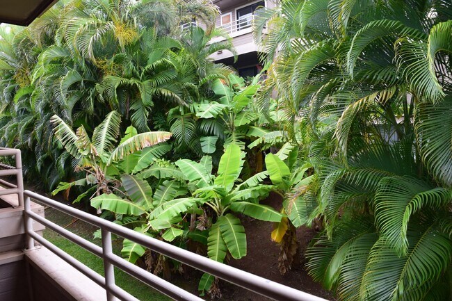 Building Photo - Kihei Shores F208