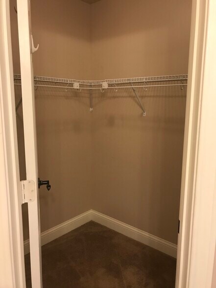 Master walk-in closet - 206 Stallion Way