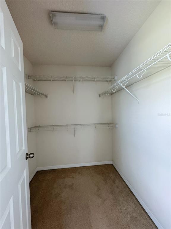 Building Photo - 2428 Chateau Lp