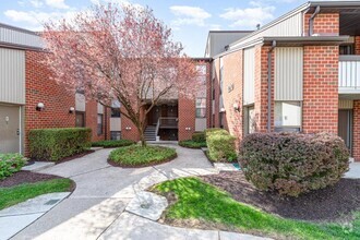 Building Photo - 1210 Hampton Hill Ct