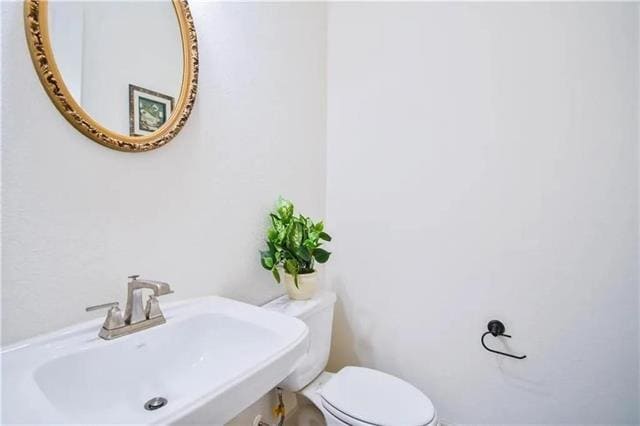 Building Photo - 1402 French Violet Wy