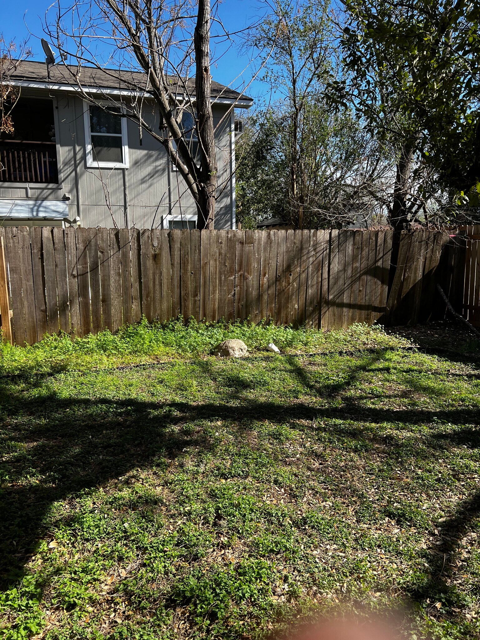 Yard - 4521 Merle Dr