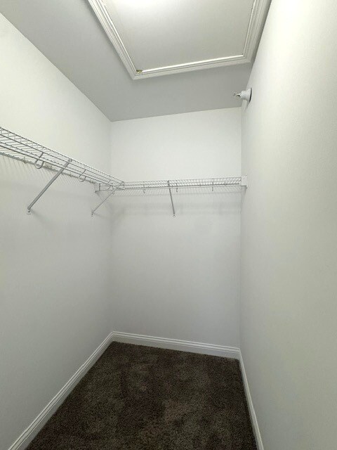 Building Photo - 2479 Frost Dr