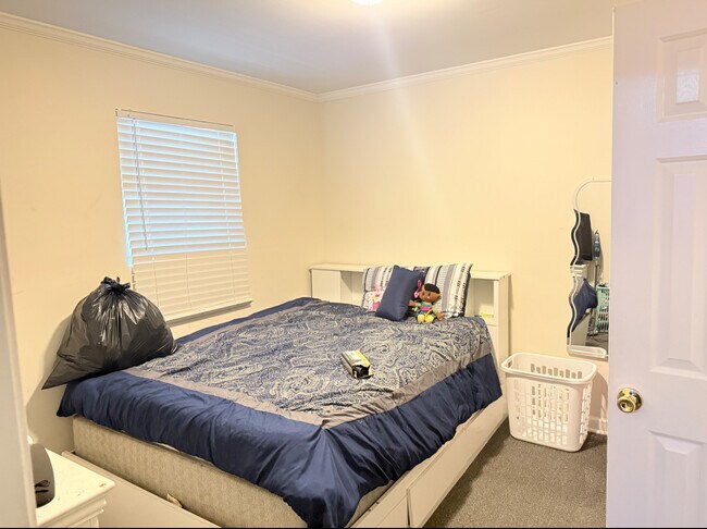 Building Photo - 1147 Alexander St