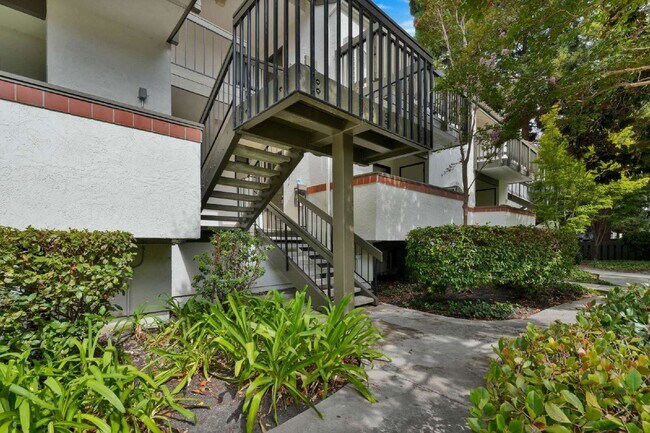 Building Photo - 614 San Conrado Terrace
