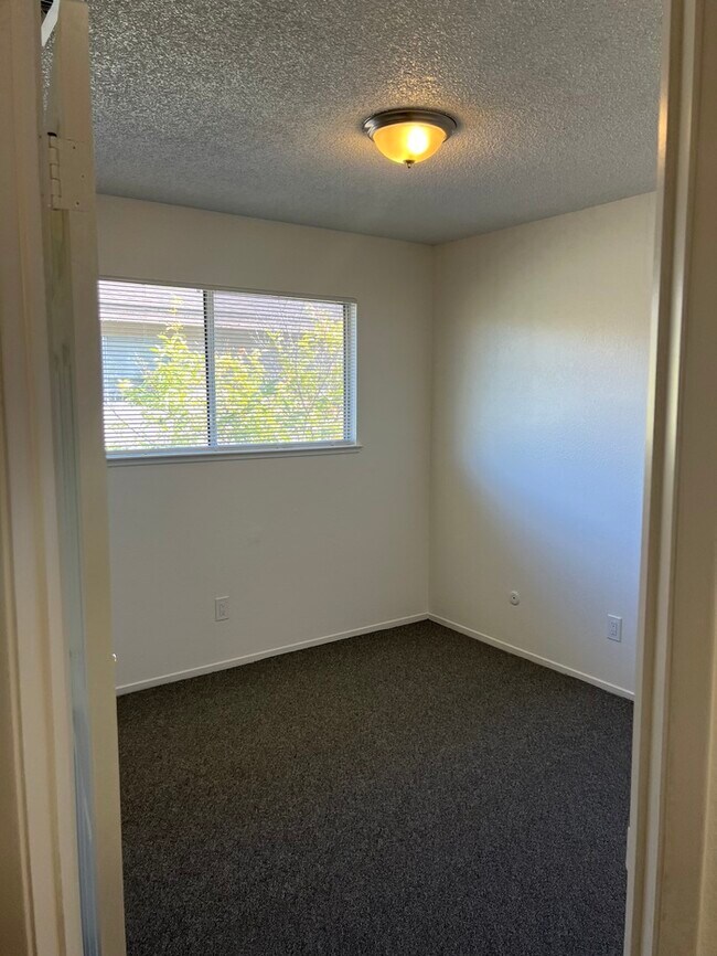 Building Photo - 845 Carro Dr