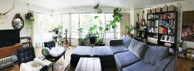 Plants love this apartment - 1221 Minor Ave