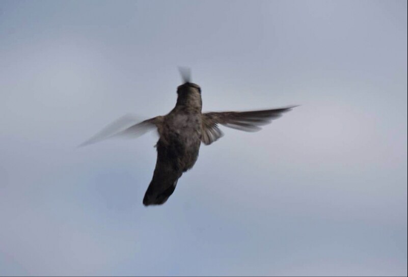 Building Photo - 2804 NW 199th St