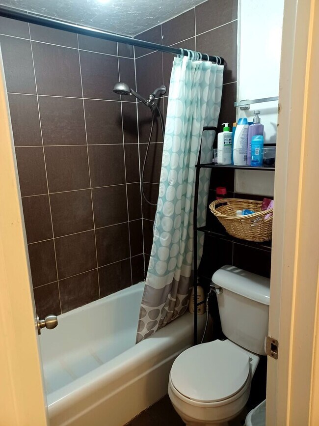 Building Photo - Large Private Girl  Room Downtown ASAP - Balcony, Storage and more