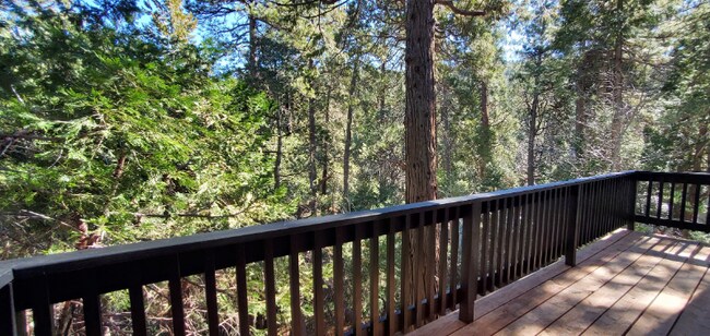 Building Photo - 863 Deer Trail