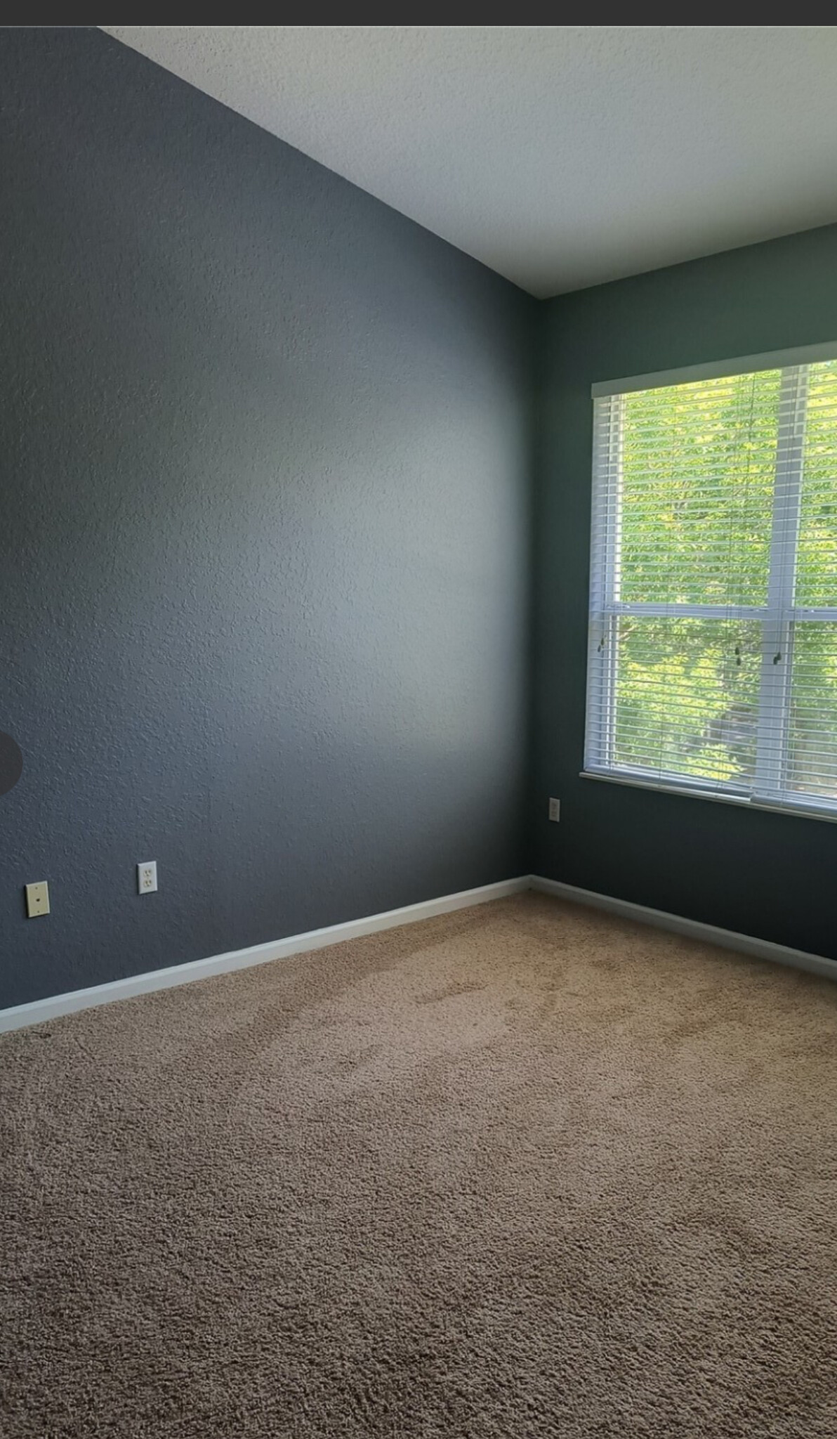 Carpet less than 2 years - 2763 Metro Sevilla Dr