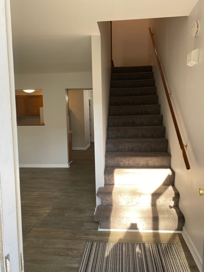Entrance and Living Room - 569 Campbells Creek Dr