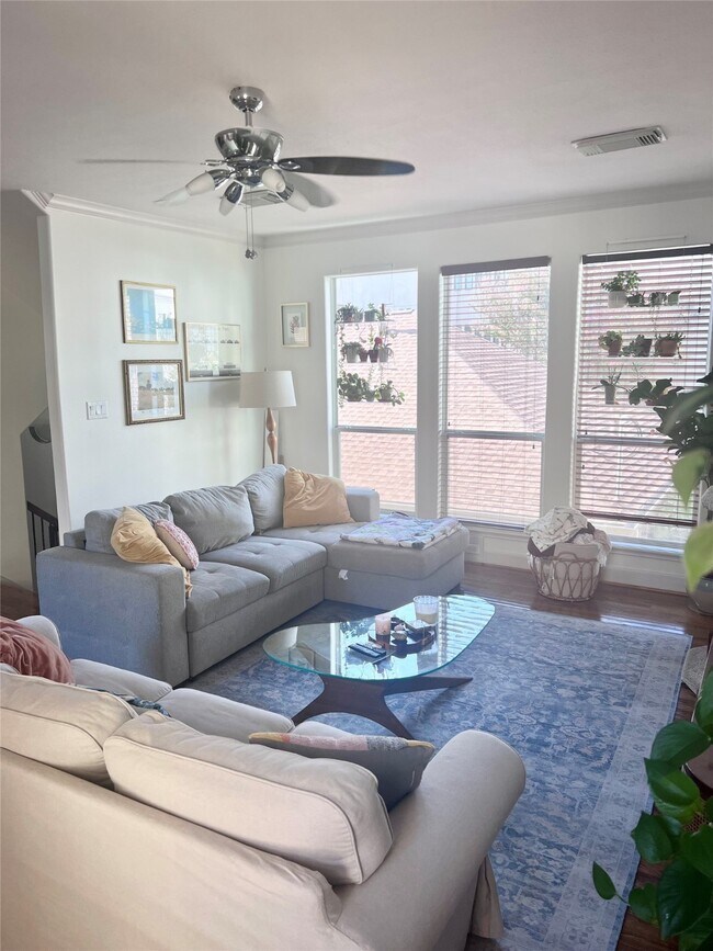 Building Photo - 1113 Peveto St