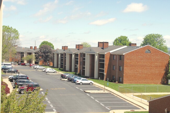 Building Photo - Great Two Bedroom Condo Available - 1010-5 Blueridge Dr.