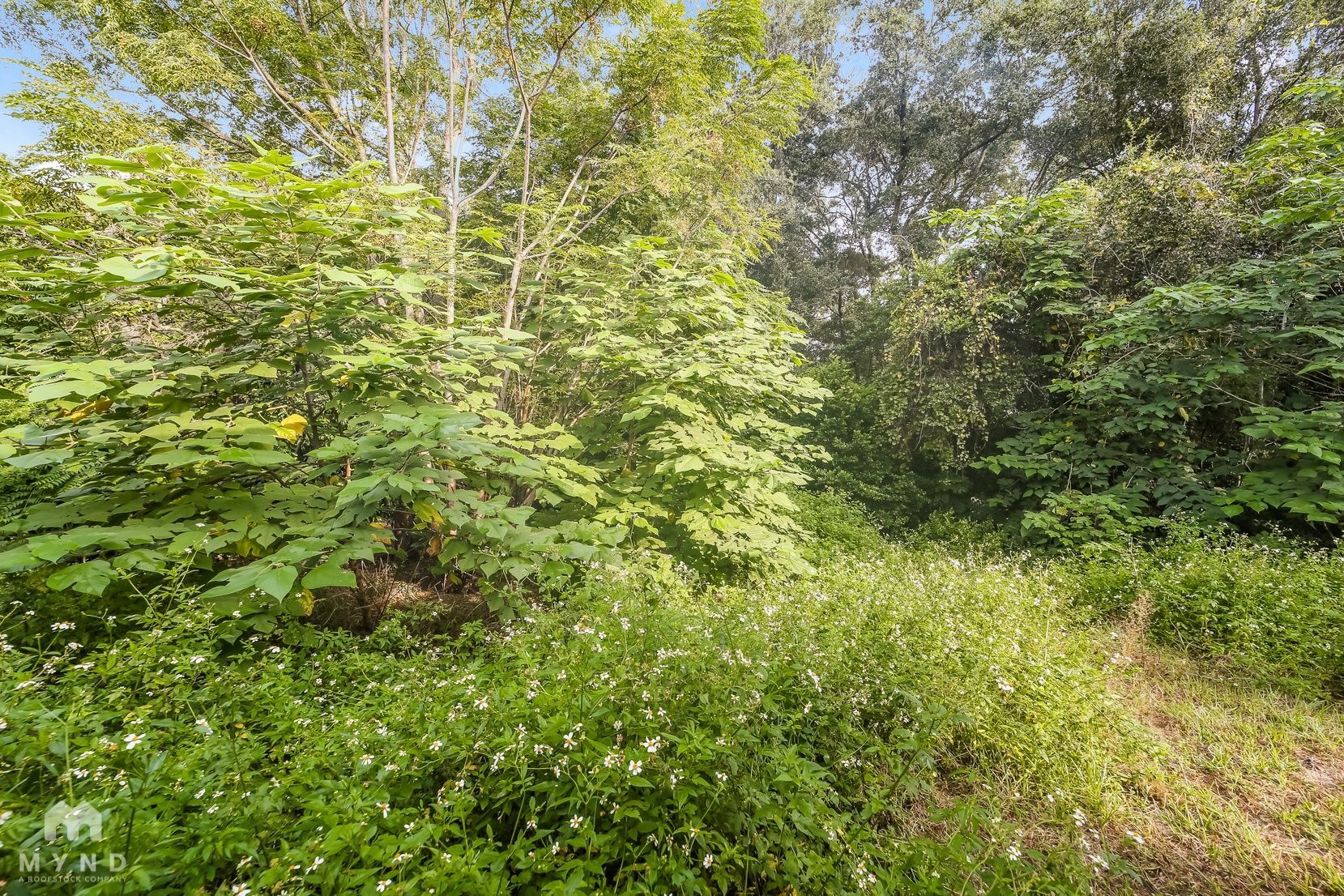 Building Photo - 10535 Jolynn Rd