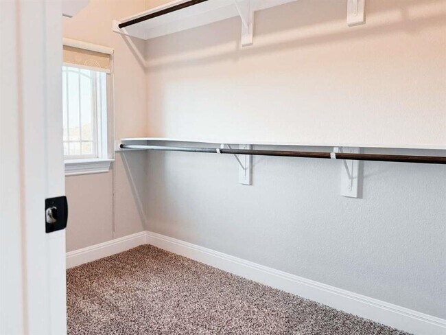 Building Photo - 3804 Tango Ct