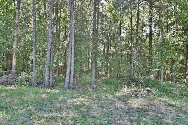 Building Photo - 64 Camp Parkman Rd