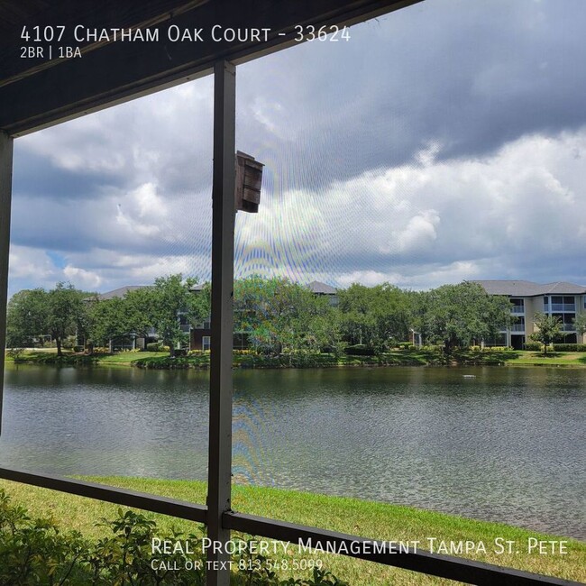 Building Photo - Carrollwood Condo Available for Immediate ...