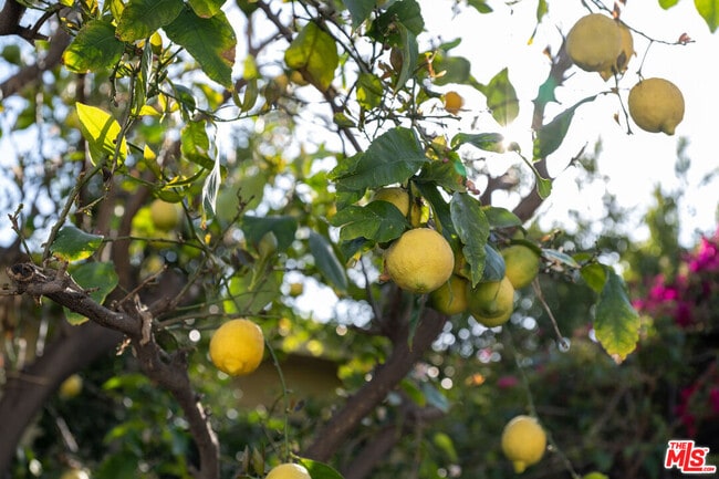 Building Photo - 741 N Dillon St