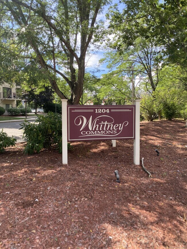 Primary Photo - 1204 Whitney Ave