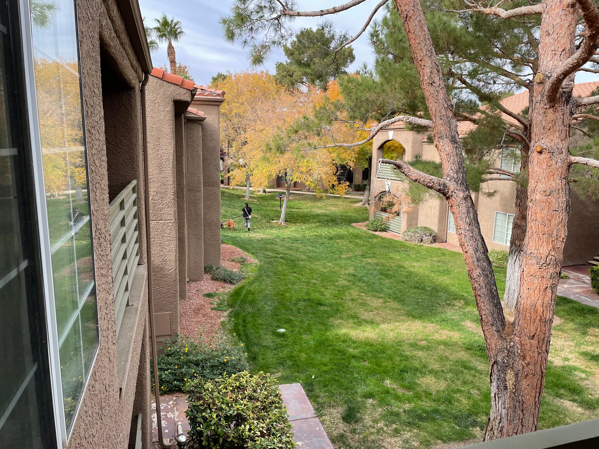 Building Photo - 2111 Sealion Dr