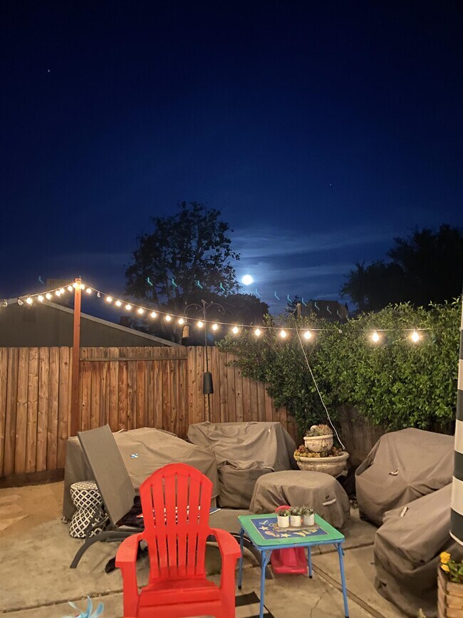 Building Photo - 1713 El Paseo Dr