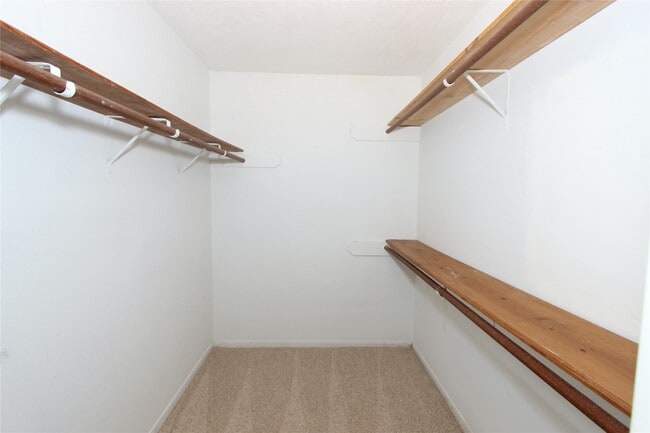 Building Photo - 2731 Colony Dr