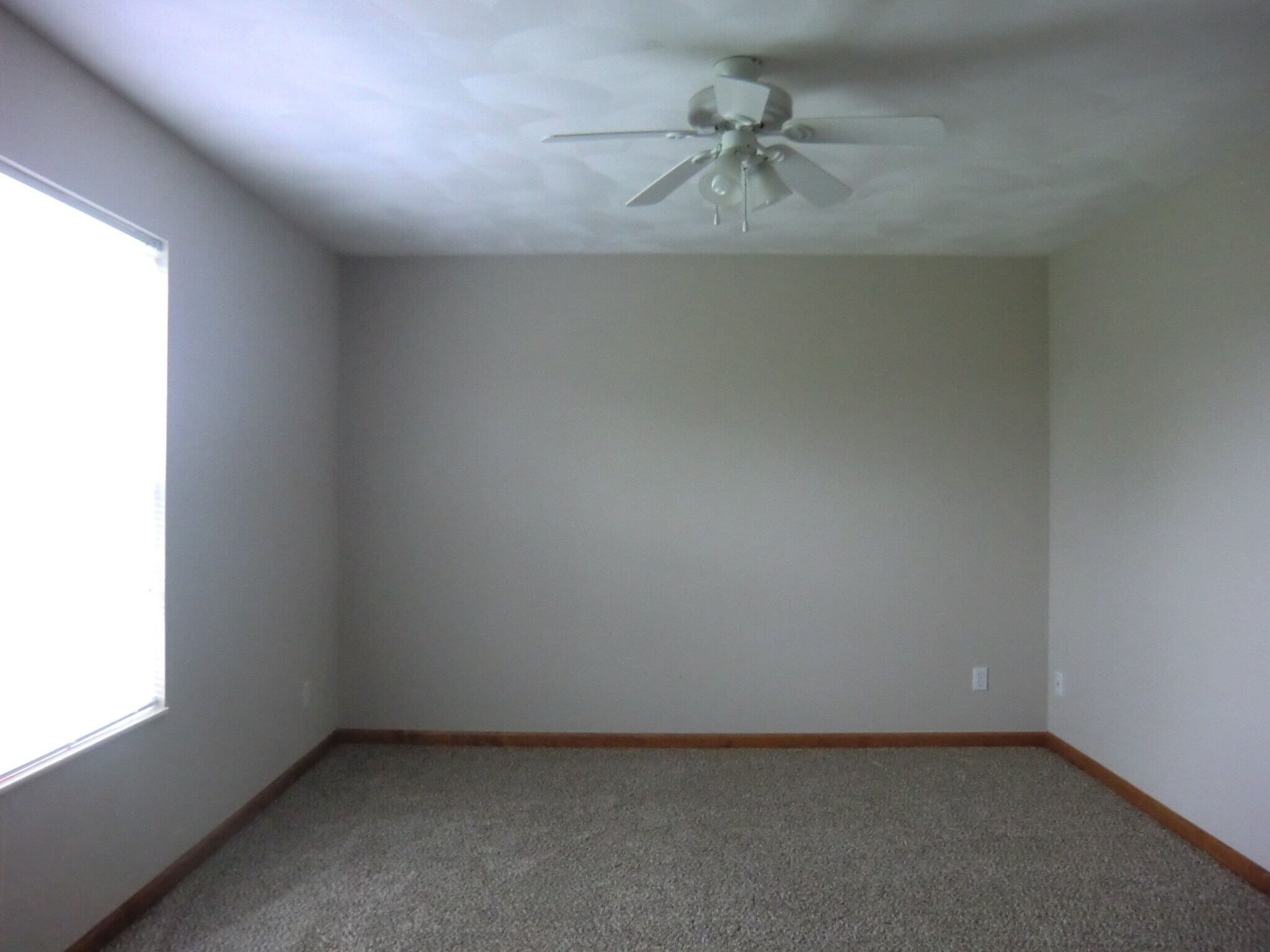 Building Photo - 211 Autumn Pine Dr