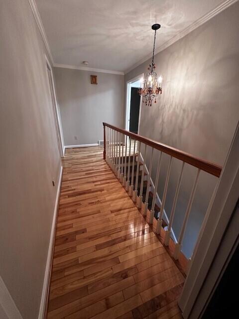 Building Photo - 3507 Lakeside Ct