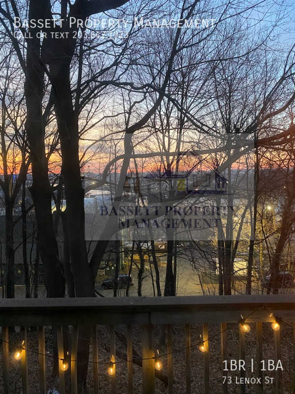 Building Photo - 73 Lenox St