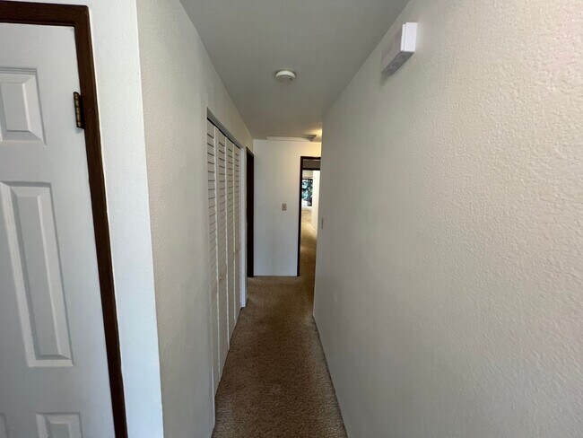 Building Photo - Breezy Kaneohe House